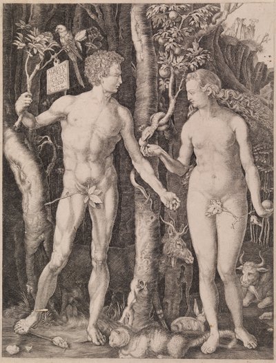 da Albrecht Dürer