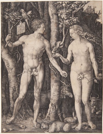  da Albrecht Dürer