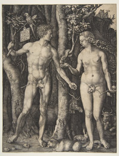  da Albrecht Dürer