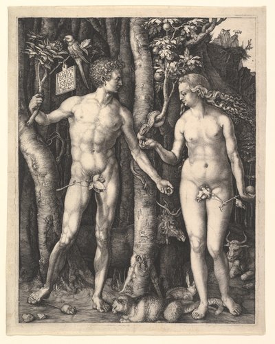  da Albrecht Dürer