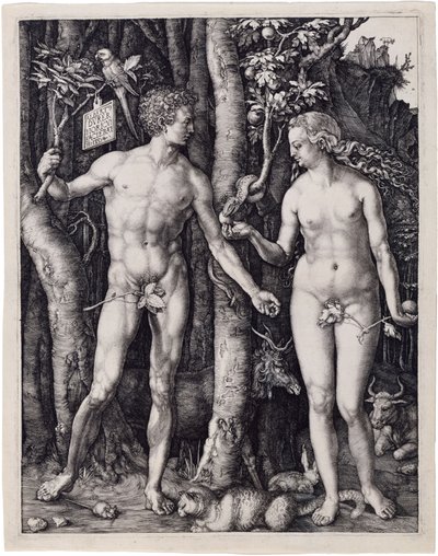  da Albrecht Dürer