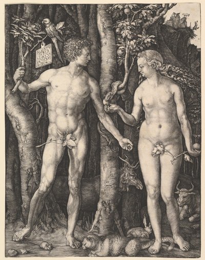  da Albrecht Dürer