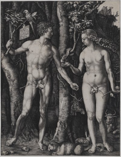  da Albrecht Dürer