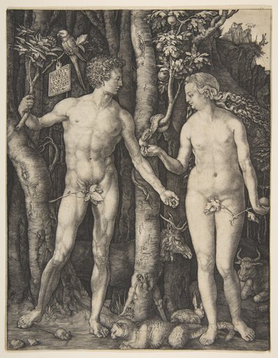  da Albrecht Dürer