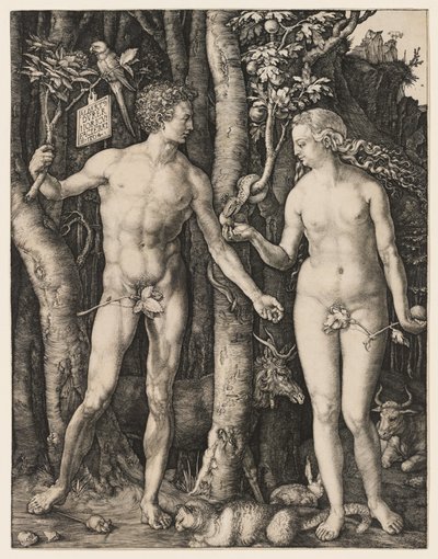 Adamo ed Eva da Albrecht Dürer