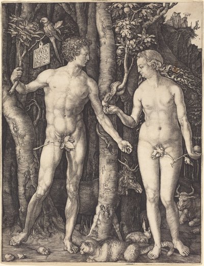 Adamo ed Eva da Albrecht Dürer