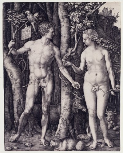  da Albrecht Dürer