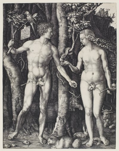 Adamo ed Eva da Albrecht Dürer