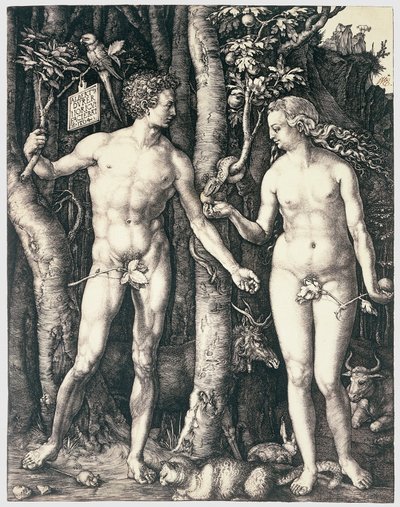 Peccato originale da Albrecht Dürer
