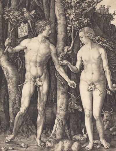 Adamo ed Eva da Albrecht Dürer