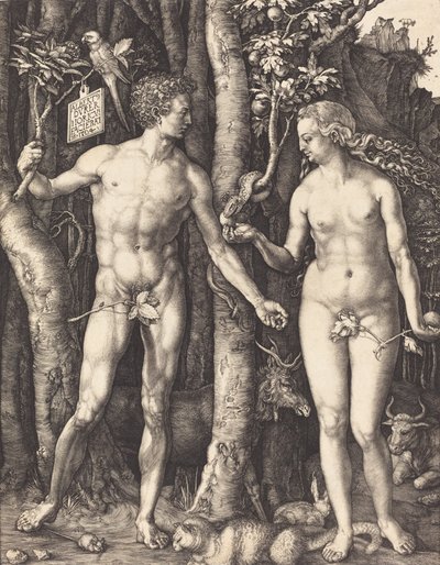 Adamo ed Eva da Albrecht Dürer