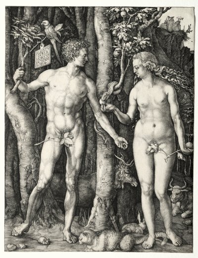 Adamo ed Eva, 1504 da Albrecht Dürer