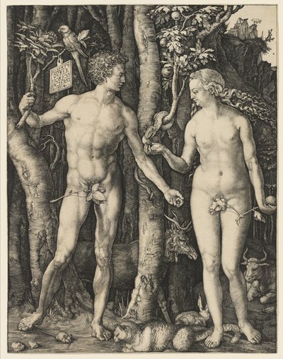 Adamo ed Eva, 1504 da Albrecht Dürer