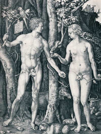 Adamo ed Eva, 1504 1906 da Albrecht Dürer
