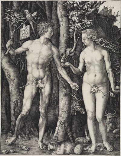  da Albrecht Dürer