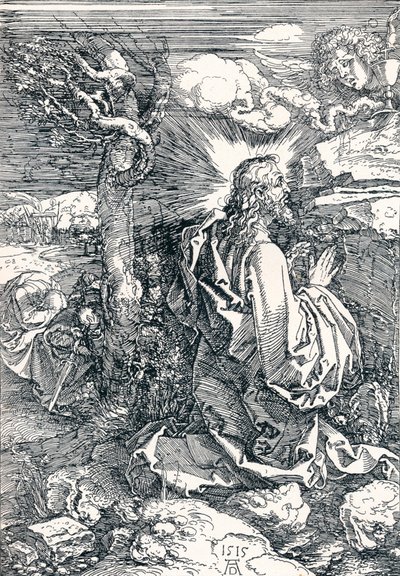 Agonia nel giardino da Albrecht Dürer