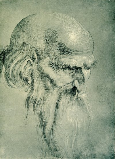 Testa di apostolo da Albrecht Dürer