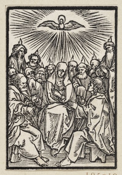  da Albrecht Dürer