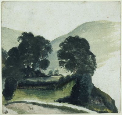 Gruppo di alberi con sentiero in montagna da Albrecht Dürer