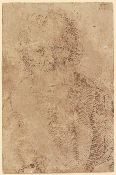  da Albrecht Dürer