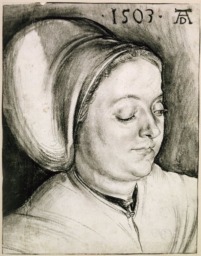  da Albrecht Dürer