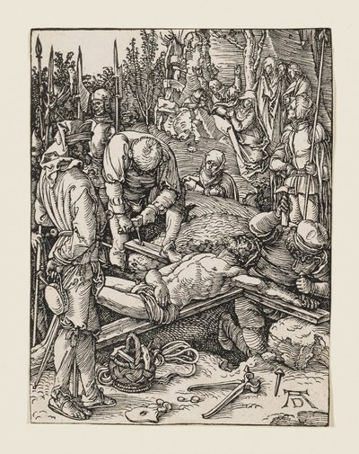  da Albrecht Dürer