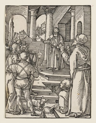  da Albrecht Dürer