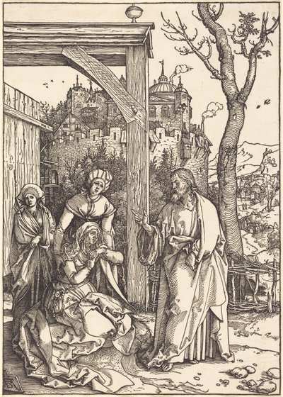  da Albrecht Dürer
