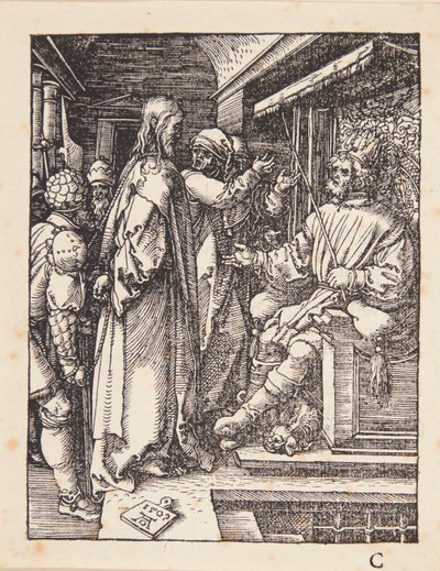  da Albrecht Dürer