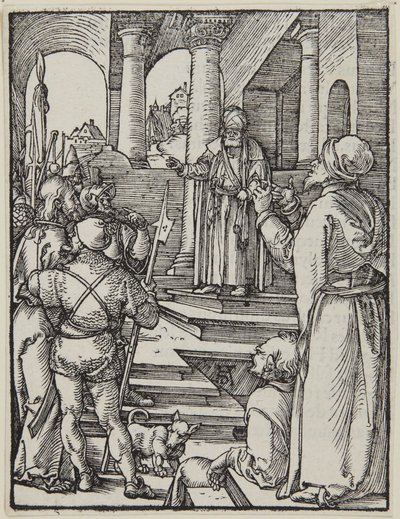  da Albrecht Dürer
