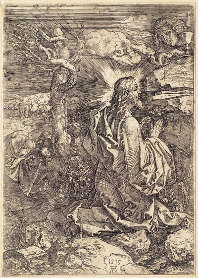  da Albrecht Dürer