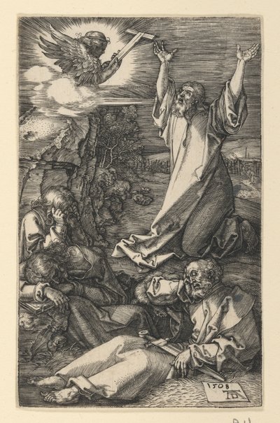  da Albrecht Dürer