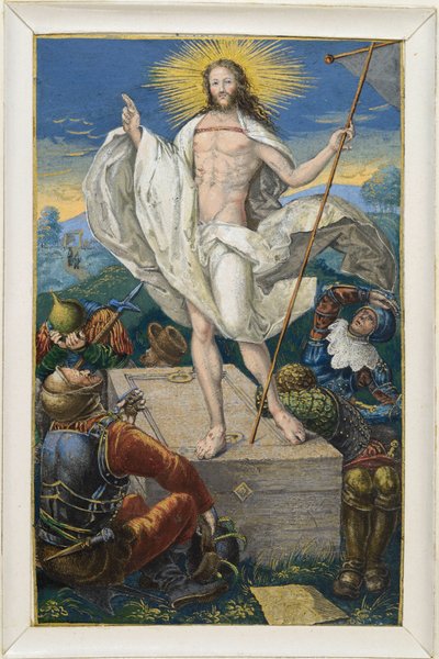  da Albrecht Dürer