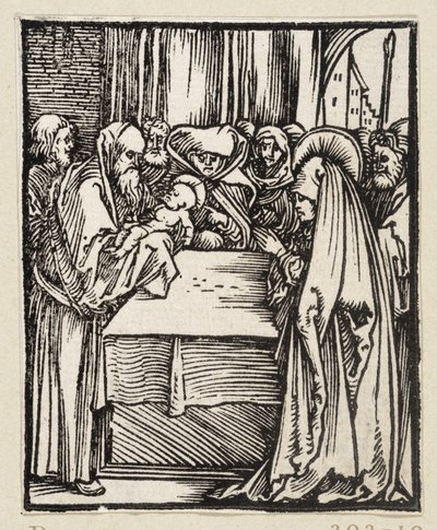  da Albrecht Dürer