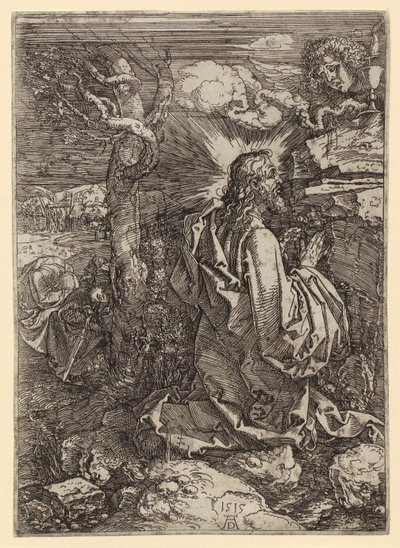  da Albrecht Dürer