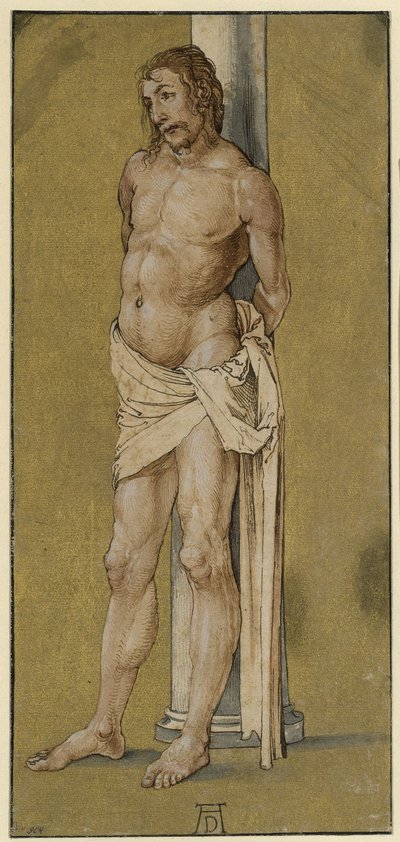  da Albrecht Dürer