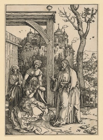  da Albrecht Dürer