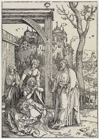  da Albrecht Dürer
