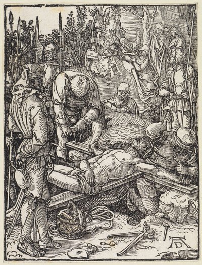  da Albrecht Dürer