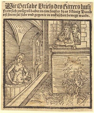  da Albrecht Dürer