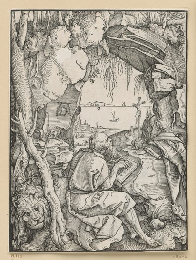  da Albrecht Dürer