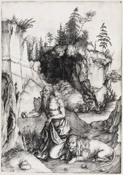  da Albrecht Dürer
