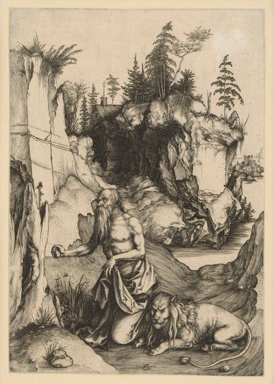  da Albrecht Dürer