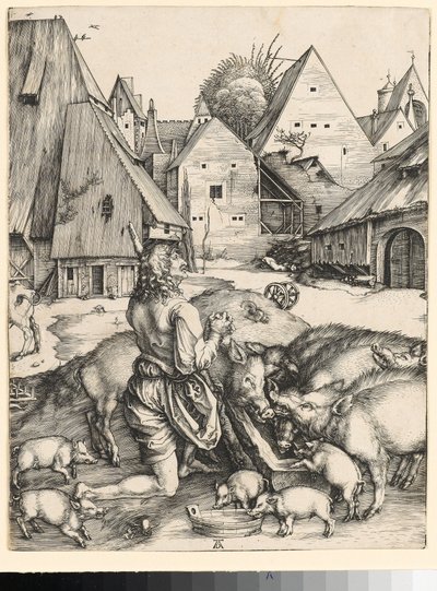  da Albrecht Dürer
