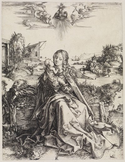  da Albrecht Dürer