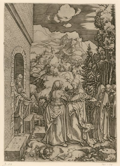  da Albrecht Dürer