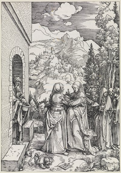  da Albrecht Dürer