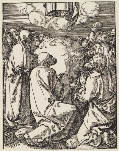  da Albrecht Dürer