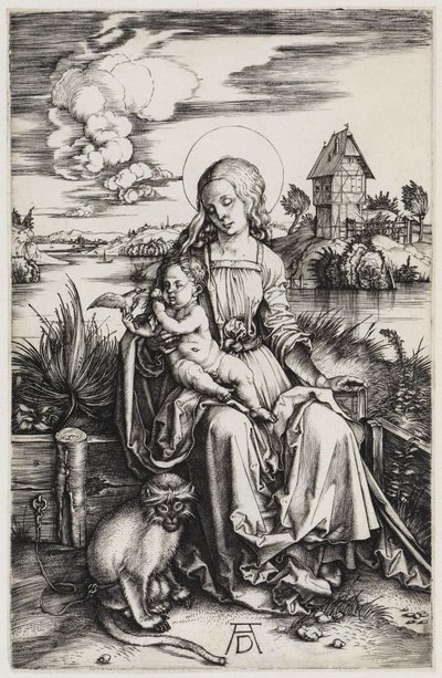  da Albrecht Dürer