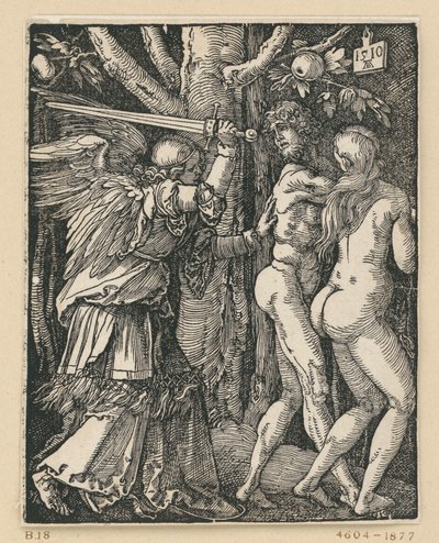  da Albrecht Dürer